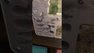 The ant farm