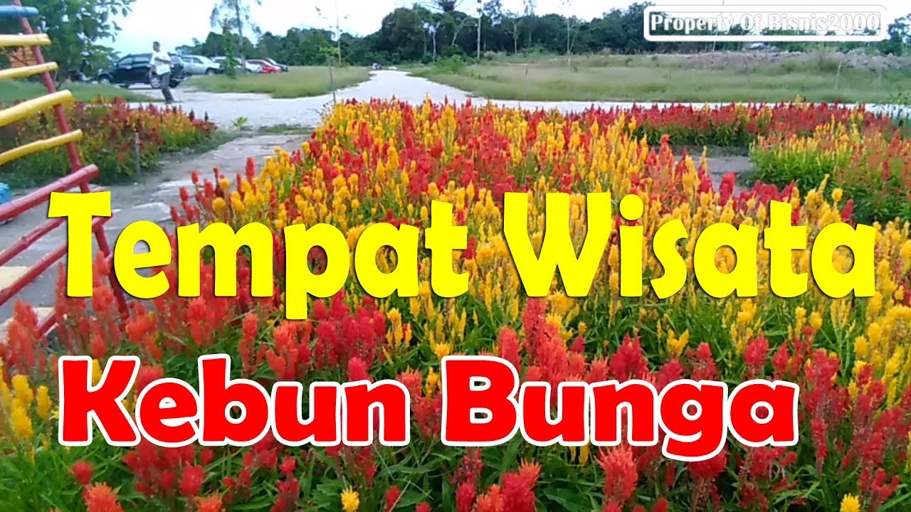 Taman Bunga Tahura Tempat Tujuan Wisata Kota Pekanbaru Di Okura Tebing Tinggi - Youtube