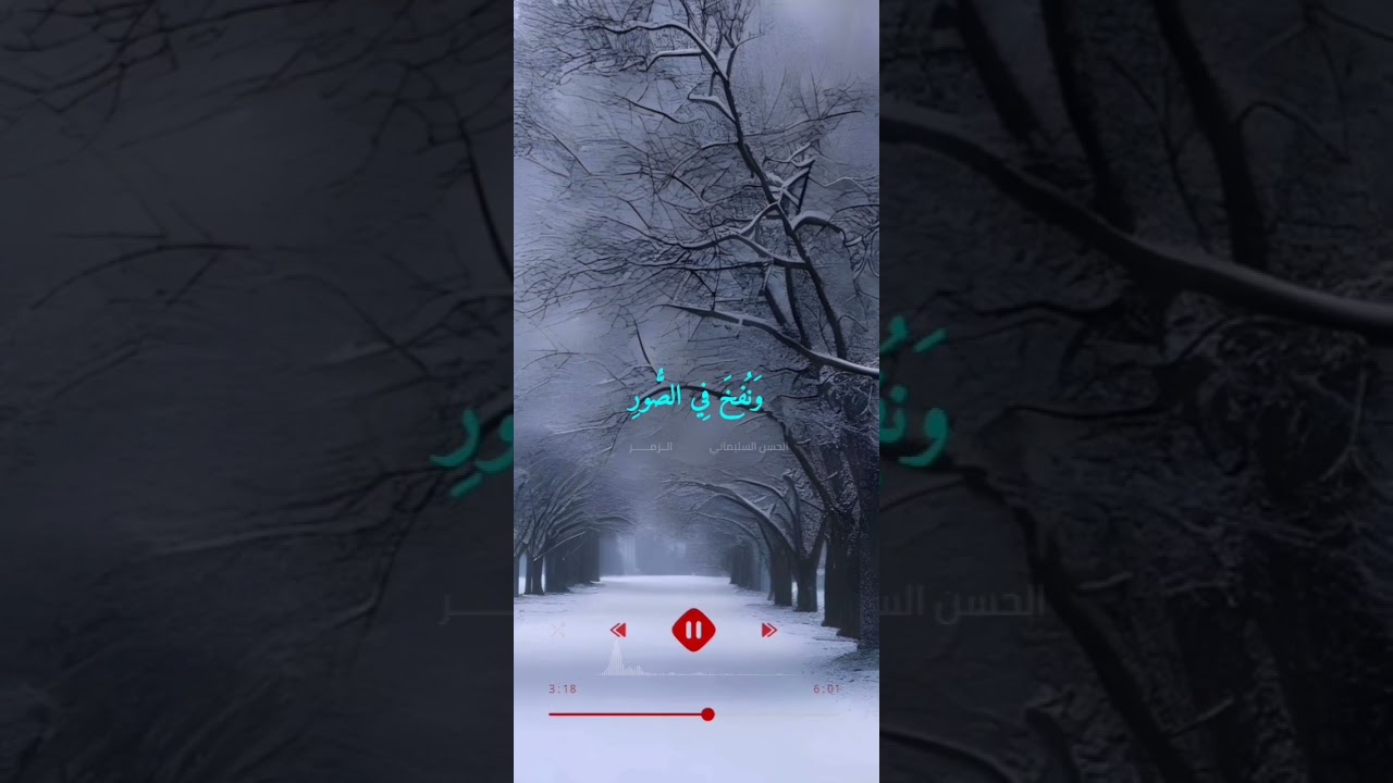 الحسن السليماني - أواخر سورة الزمر