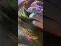 ASMR Dandruff ꩜ Treatment  Short for Relaxation