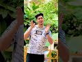 مهرجان انا جوه دنيا ولا جوه غيه حمو الطيخا 2023