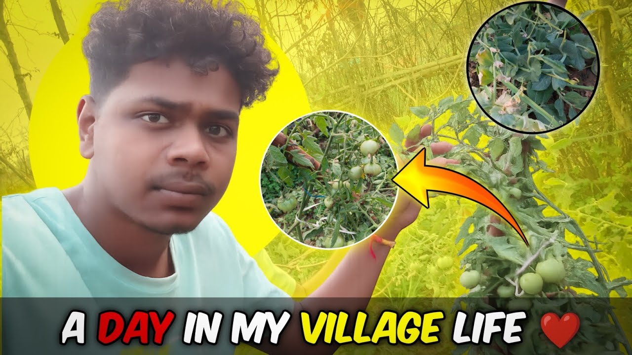 A Day In My Village Life 😄