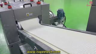 High Speed Production Line for Cube Shaped Soft Chew Gum#chewgum #machine #candymakingmachine screenshot 4