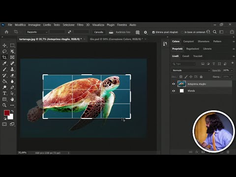 Video: Come posso ritagliare un'immagine a una dimensione specifica in Photoshop CS5?