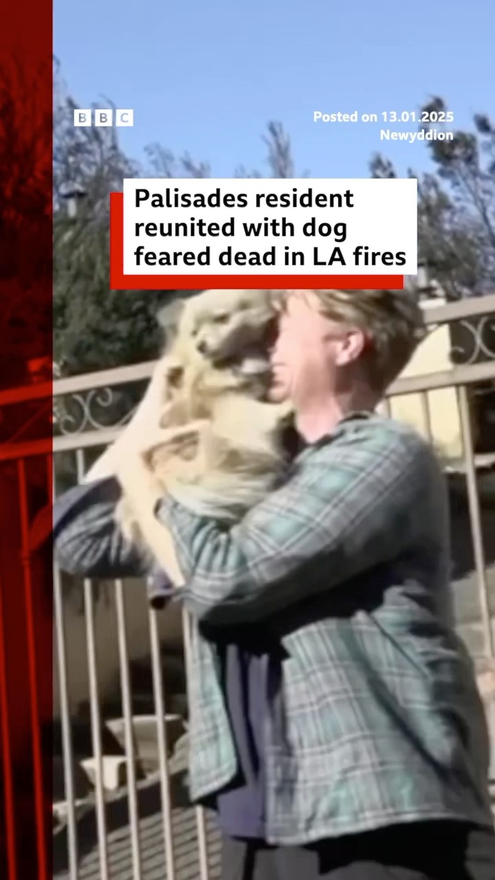 Palisades resident reunited with dog feared dead in LA fires. #LA #BBCNews