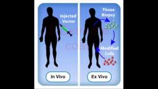 Biotechnology Gene Therapy