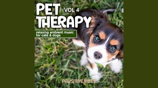 Tail Wagging Vibes