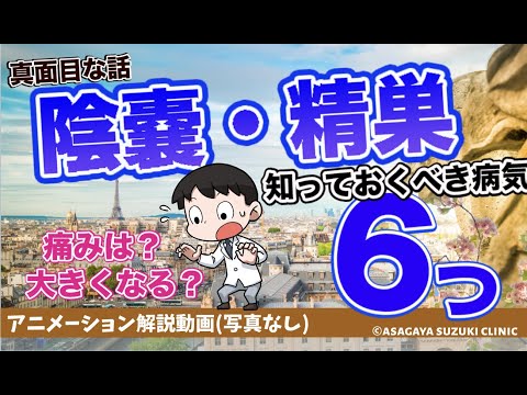 陰嚢・精巣の病気 😵知っておくべき病気〜がん、炎症、水？、手術が必要か？