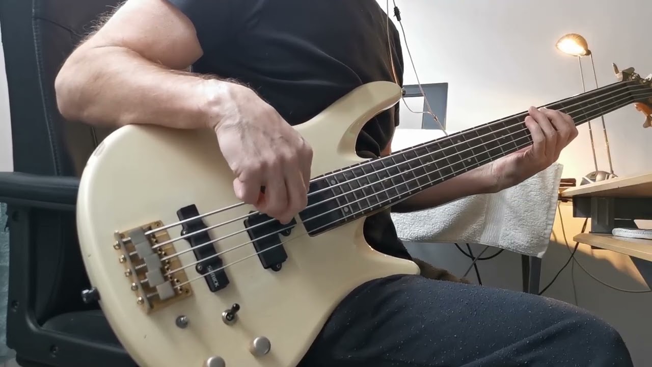 Billie Eilish - Lunch (Bass Cover)