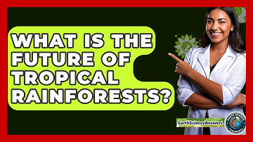 What Is The Future Of Tropical Rainforests? - Earth Science Answers