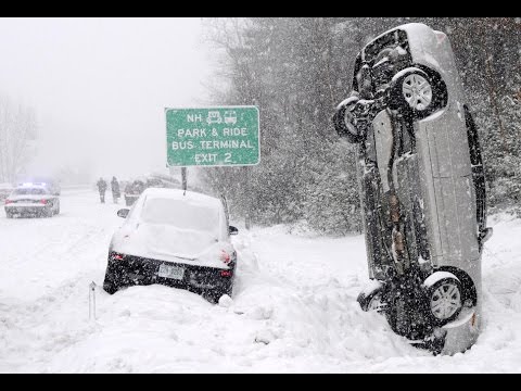 Vídeo: Planta de derretimento de neve: tipos, princípio de operação