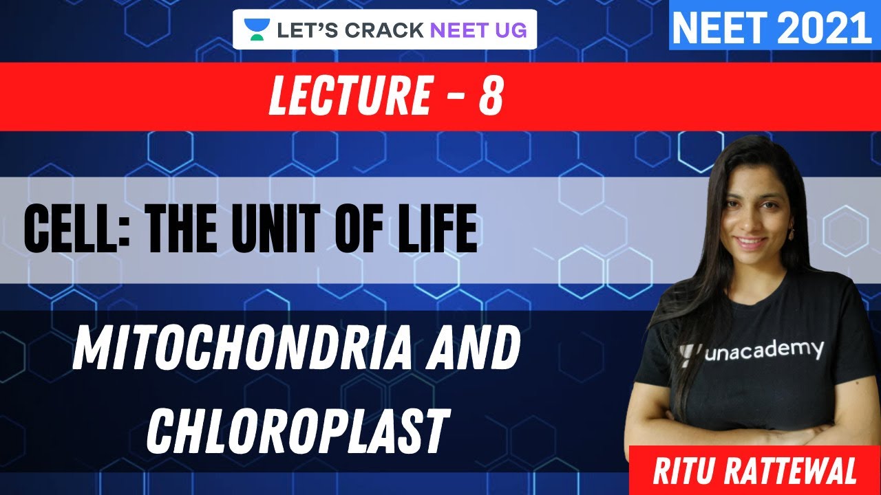 Phoenix 2.0: Biology Most Important Video for NEET 2025 | Udaan