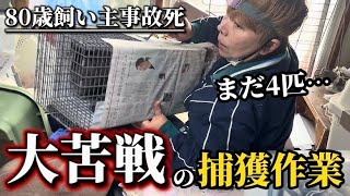 【SOS】80歳飼い主事故死。ゴミ屋敷で猫の捕獲に大苦戦…