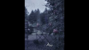 الآية ٢٢ من سورة العنكبوت بصوت القارئ عبد الرحمن مسعد