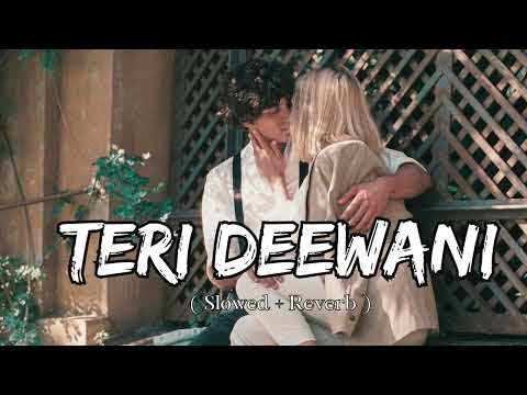 Teri Deewani [ Slowed and Reverb ] | Lofi song | @sleepysoundz- #kailashkher #lofi