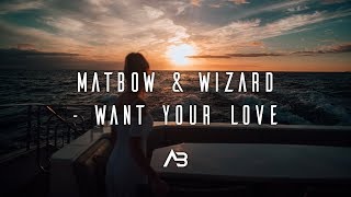 Matbow & Wizard - Want Your Love