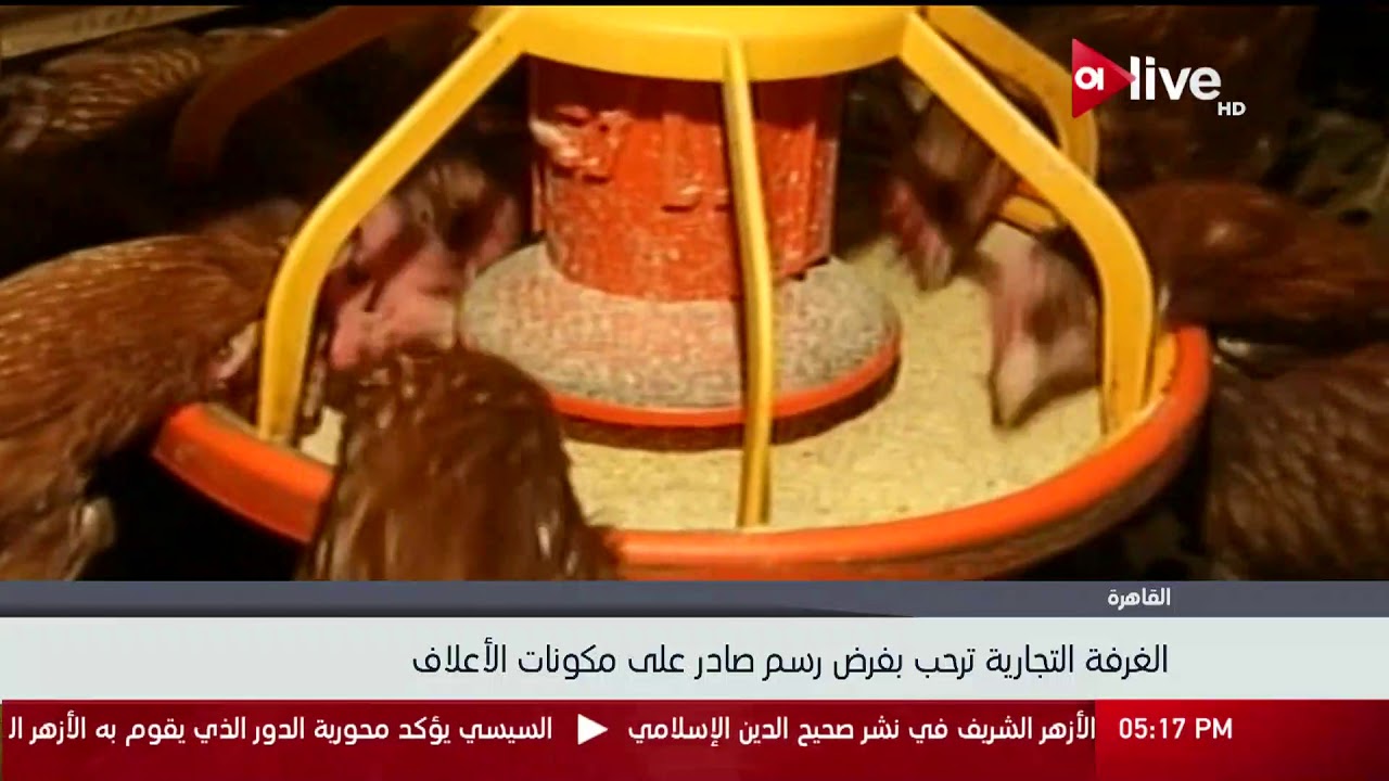الغرفة التجارية ترحب بفرض رسم صادر على مكونات الأعلاف YouTube الغرفة التجارية ترحب بفرض رسم صادر على مكونات الأعلاف YouTube