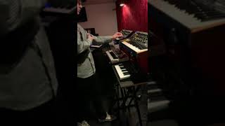 Beau Zwart - Looping Funk Jam with Moog Sub37, Subphatty, Tr8, Bassstation II