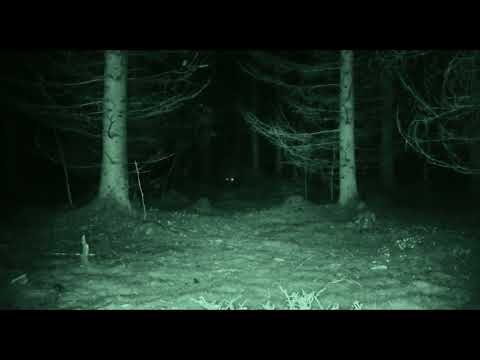 Trailer | Arcturus | Tuisku Lehto