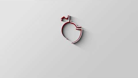 Food bag high speed robot hand sorting picking feeding machine testing video