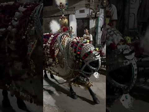 Zuljana Mushki Badshah|The Loyal Horse of Imam Hussain 🐎💔 | زُليْجَنا — فرس الإمام الحسين الوفي