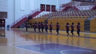 Mahogany n Motion - 2017 Tryout Routine Demonstration - House of Funk  - Morehosue College - 2