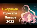 Гороскоп для Скорпиона на Январь 2022 года