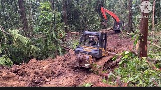 The highest risk work Excavator Hitachi and Bulldozer D68ess pulling logs