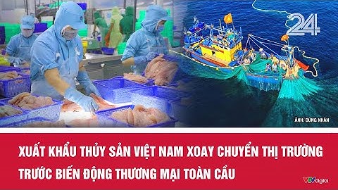 Xuất khẩu thủy sản Việt Nam xoay chuyển thị trường trước biến động thương mại toàn cầu | VTV24