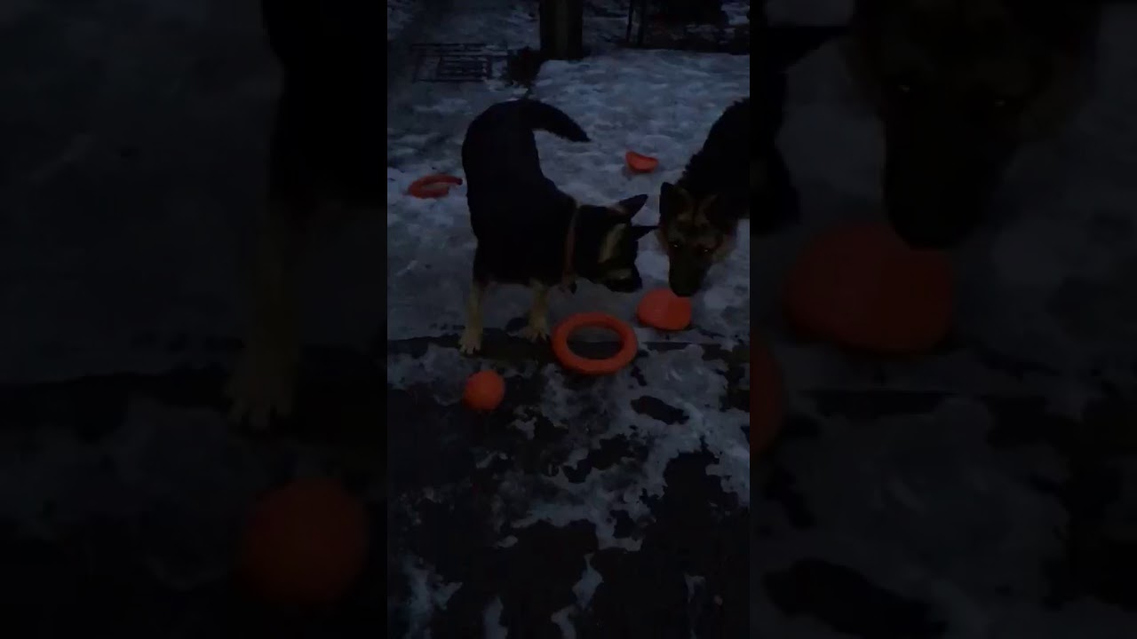 Черри это вольво