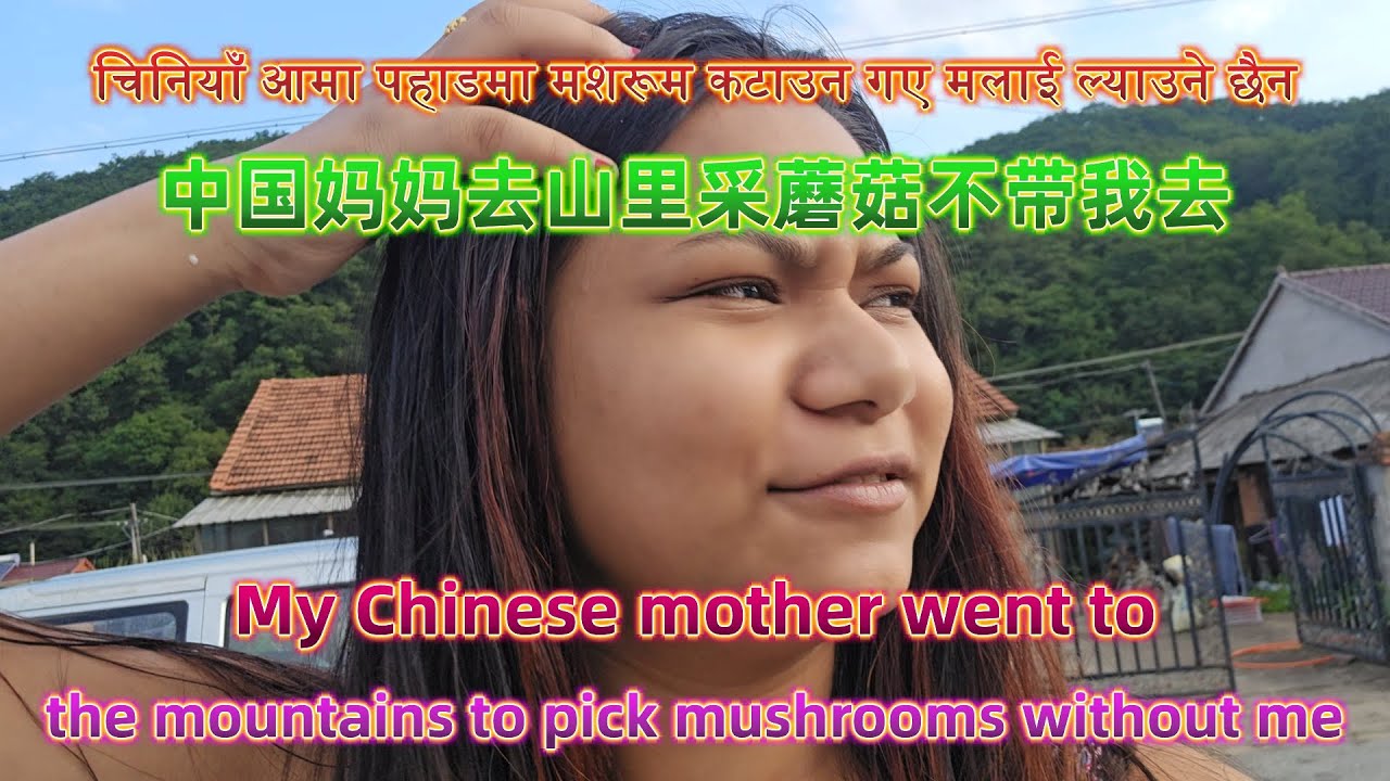 चिनियाँ आमा पहाडमा मशरूम कटाउन गए मलाई ल्याउने छैन&中国妈妈去山里采蘑菇不带我去&My Chinese mother went to