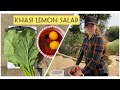 Ep26 perfect salad for a hot sunny day india meghalaya
