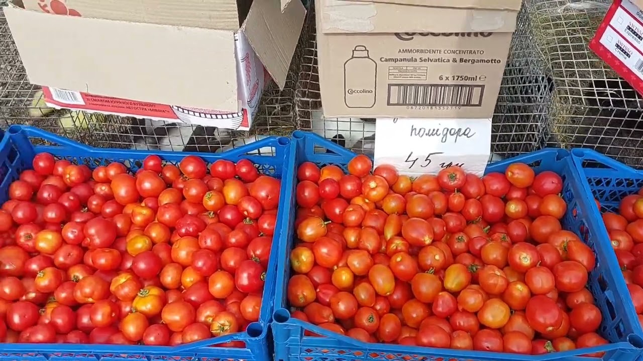 Цікавий огляд тварин на Ринку! #тварини #тварина #село #ринок #люди #ціни 