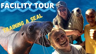 Dolphin Marine conservation park TOUR: The Wildlife Twins by The Wildlife Twins 578 views 1 year ago 32 minutes