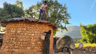 From The Mountain Turtle To The Backyard With Asghar And Halimah