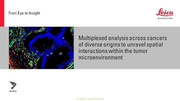 A meta-cancer analysis of the tumor spatial microenvironment
