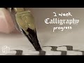 Learning Calligraphy with No Experience