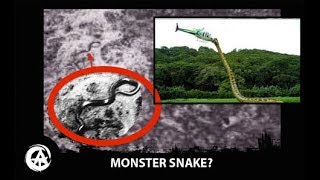Giant 50 foot Snake Attacks Helicopter, 1959 - Caught on Camera