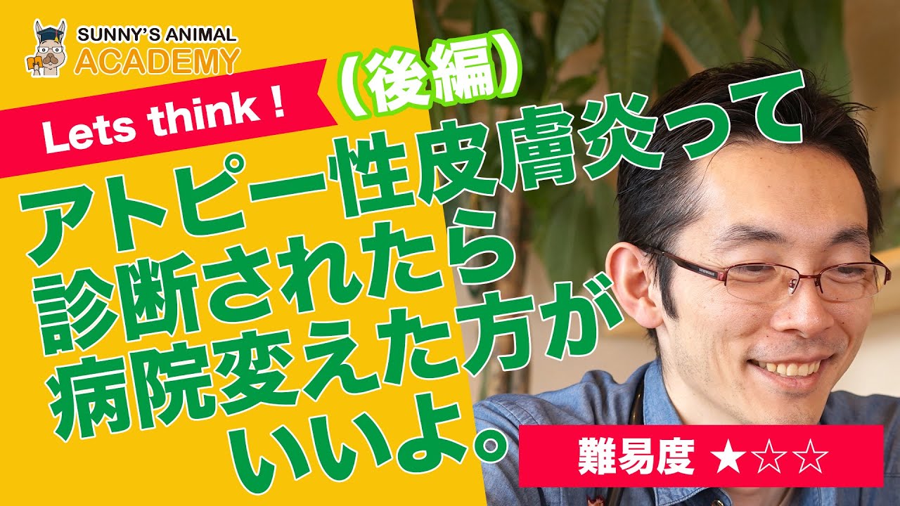 アトピー性皮膚炎って診断されたら、病院変えた方がいいよ後編/サニーズアニマルクリニック