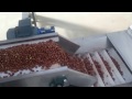 EVRO 7000 FINDIK İŞLEME ENTEGRE TESİSİ (Hazelnut processing and integrated plant)