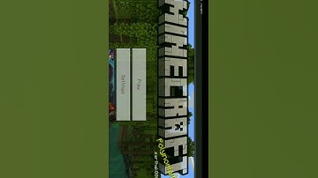 damage indicator for Mcpe 1.19 #short #shorts