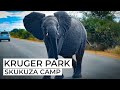 KRUGER PARK 2022 : Episode 2 - Skukuza Camp / Kamp