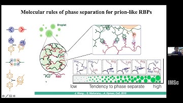 Low complexity domain reinforces specificity of RNA binding domain RBD to RNA by Anand Srivastava