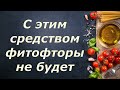 473  С этим средством фитофторы не будет