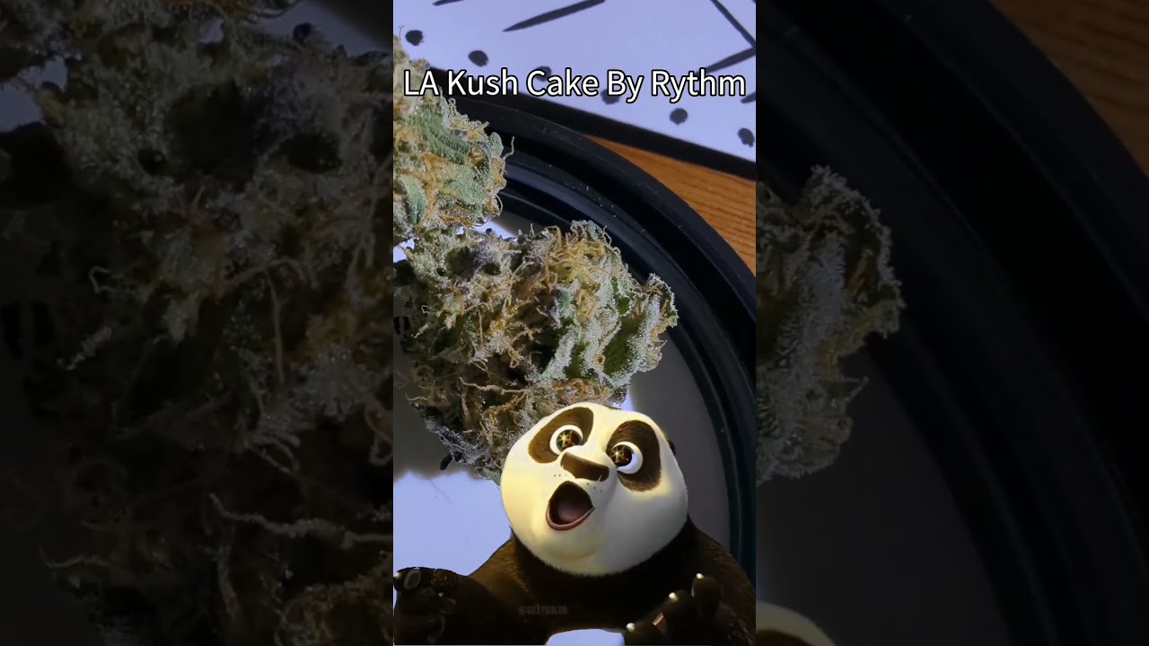 LA Kush Cake By Rythm
