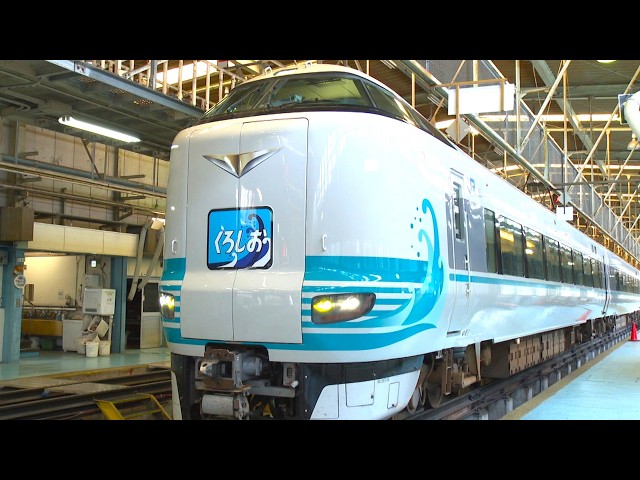 【くろもじ】 おすわりひまわり#60&おすわり水色ネコ#58 2点セット JR West unveils second Kuroshio limited express train 60th