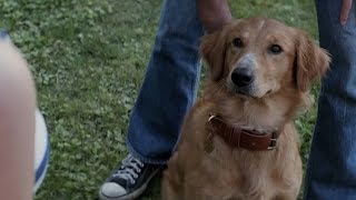 A Dogs Purpose: A TAIL of Terror Trailer (NSFW)