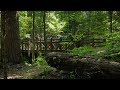 Caddo Lake State Park - Texas Parks & Wildlife [Official]