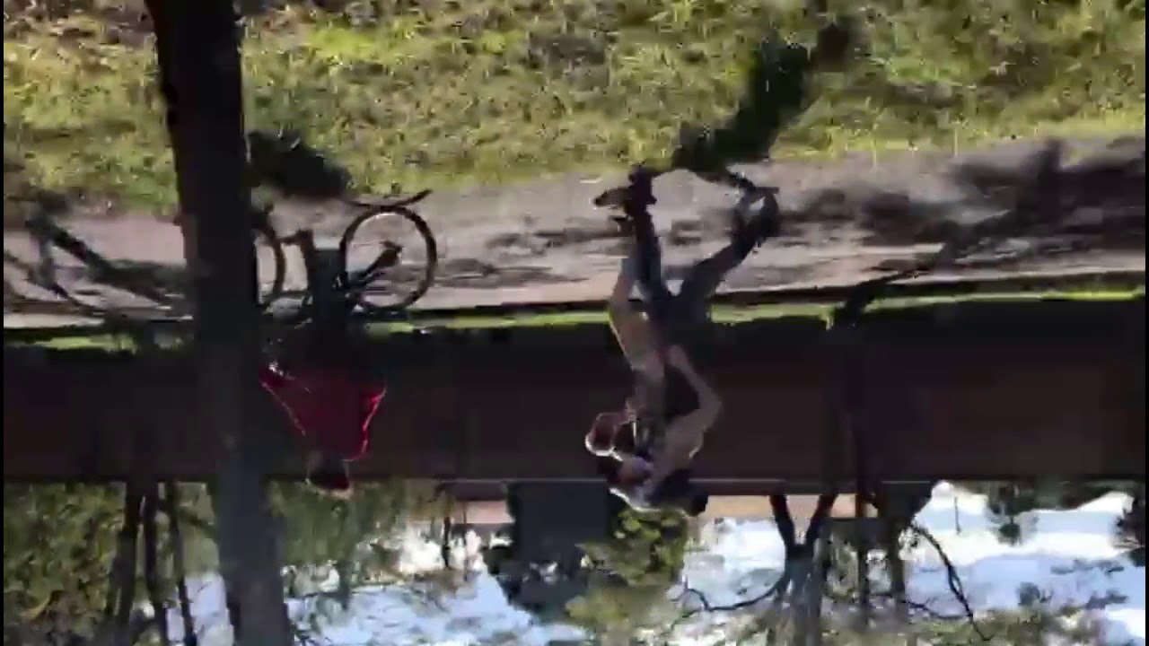 Homem Macaco Que Não Tem Alma E Nem Coração