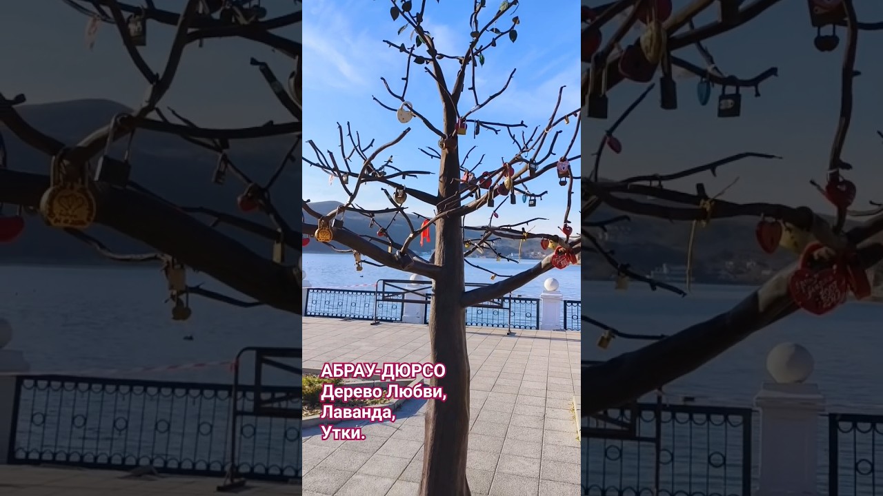 #ритуальноедерево